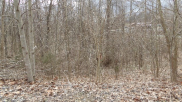 0 Beaver Lane Gainesboro TN 38562