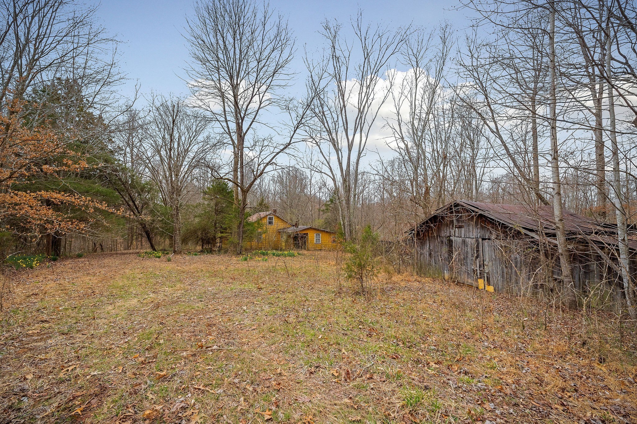 3944 Crawford Road Silver Point TN 38582