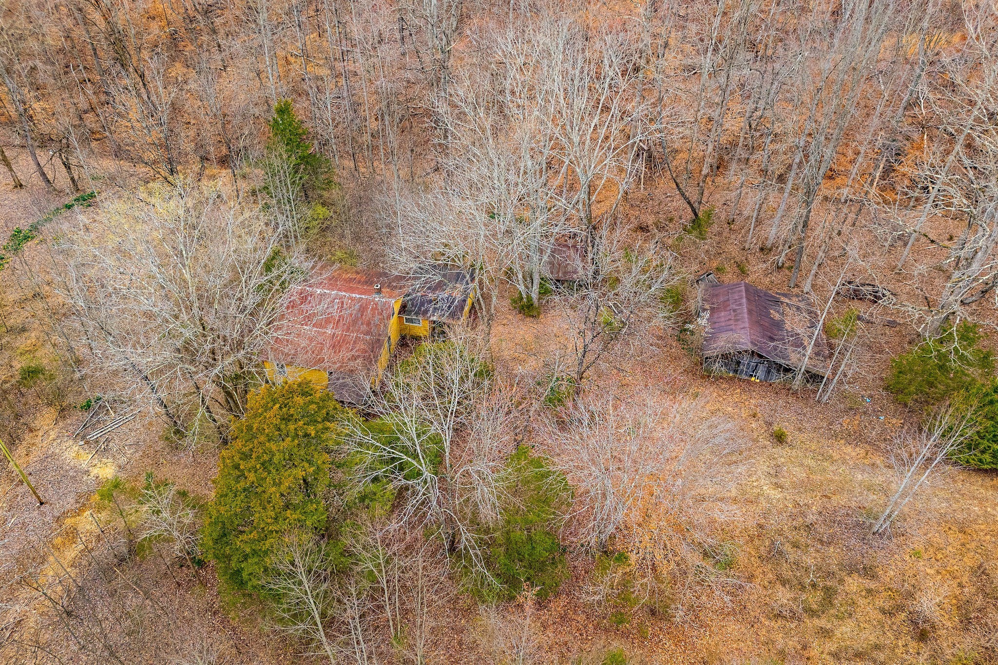 3944 Crawford Road Silver Point TN 38582
