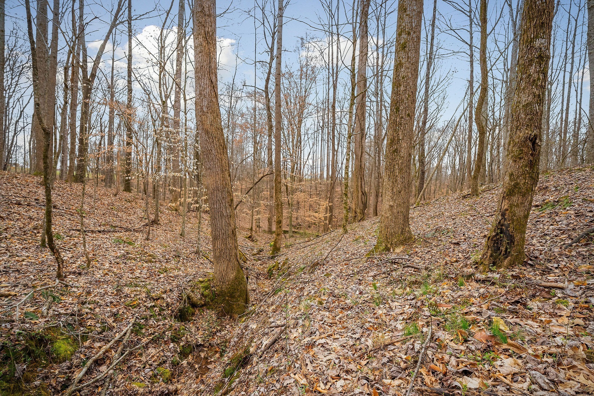 3944 Crawford Road Silver Point TN 38582