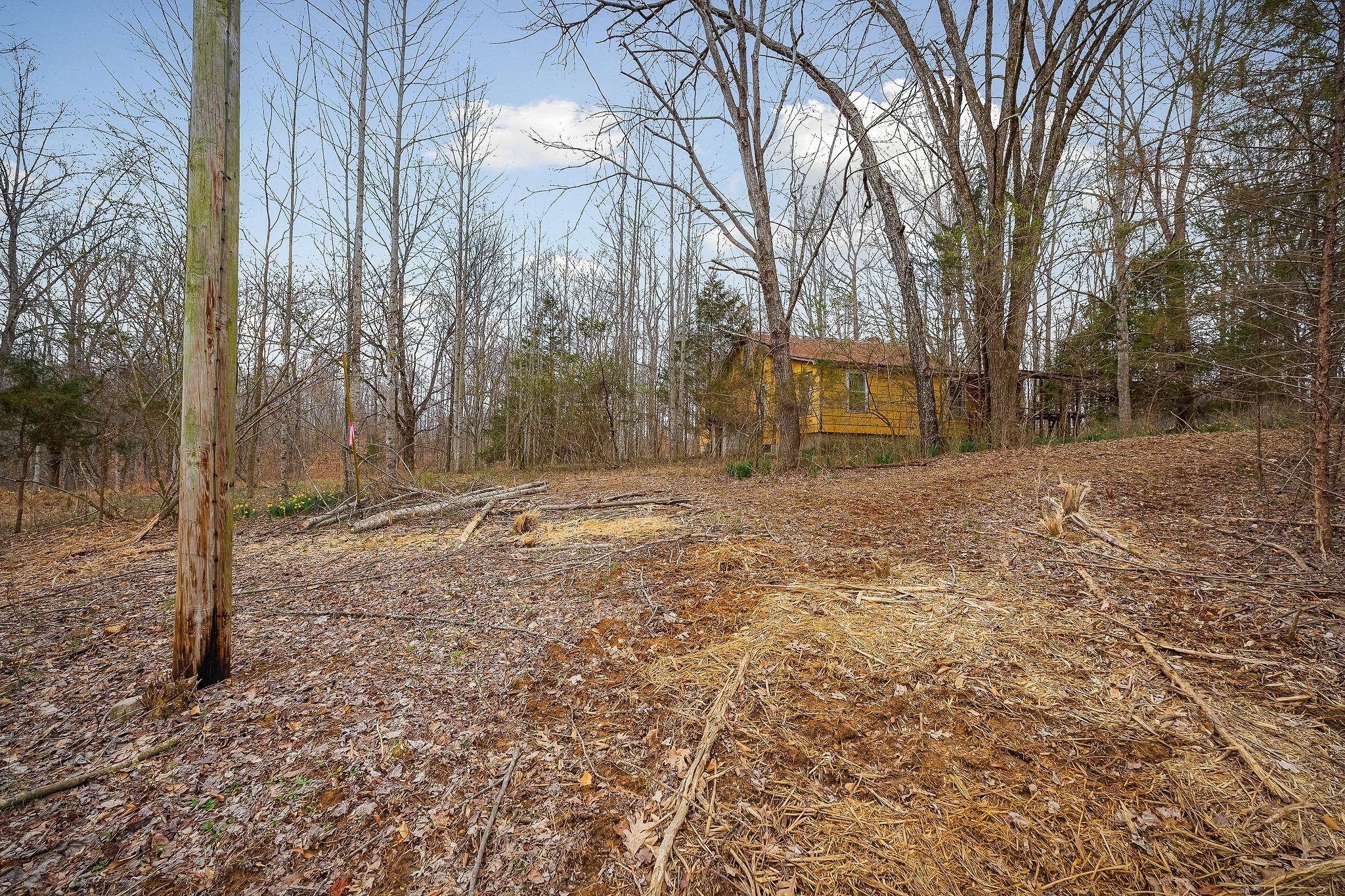 3944 Crawford Road Silver Point TN 38582