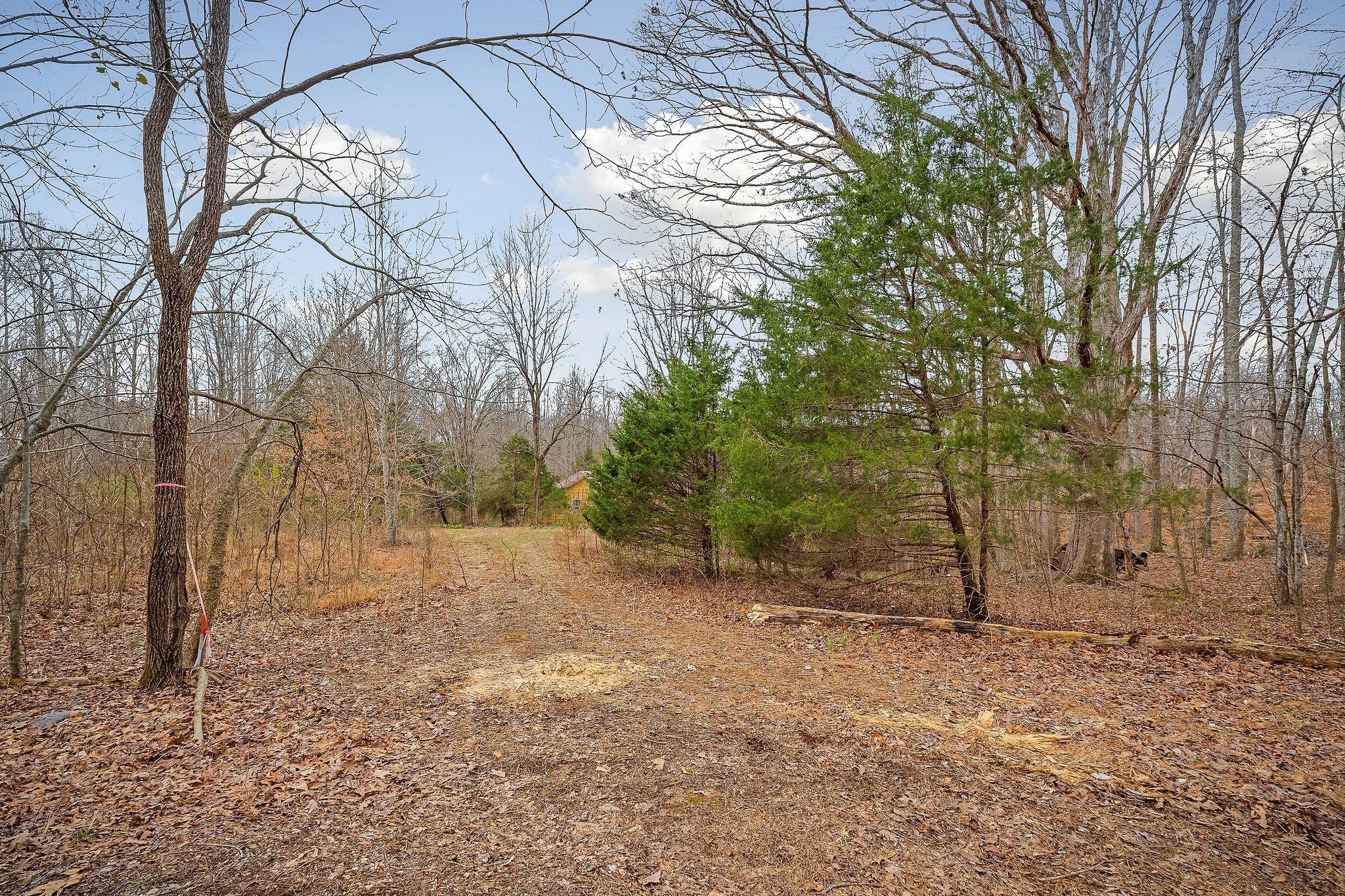 3944 Crawford Road Silver Point TN 38582
