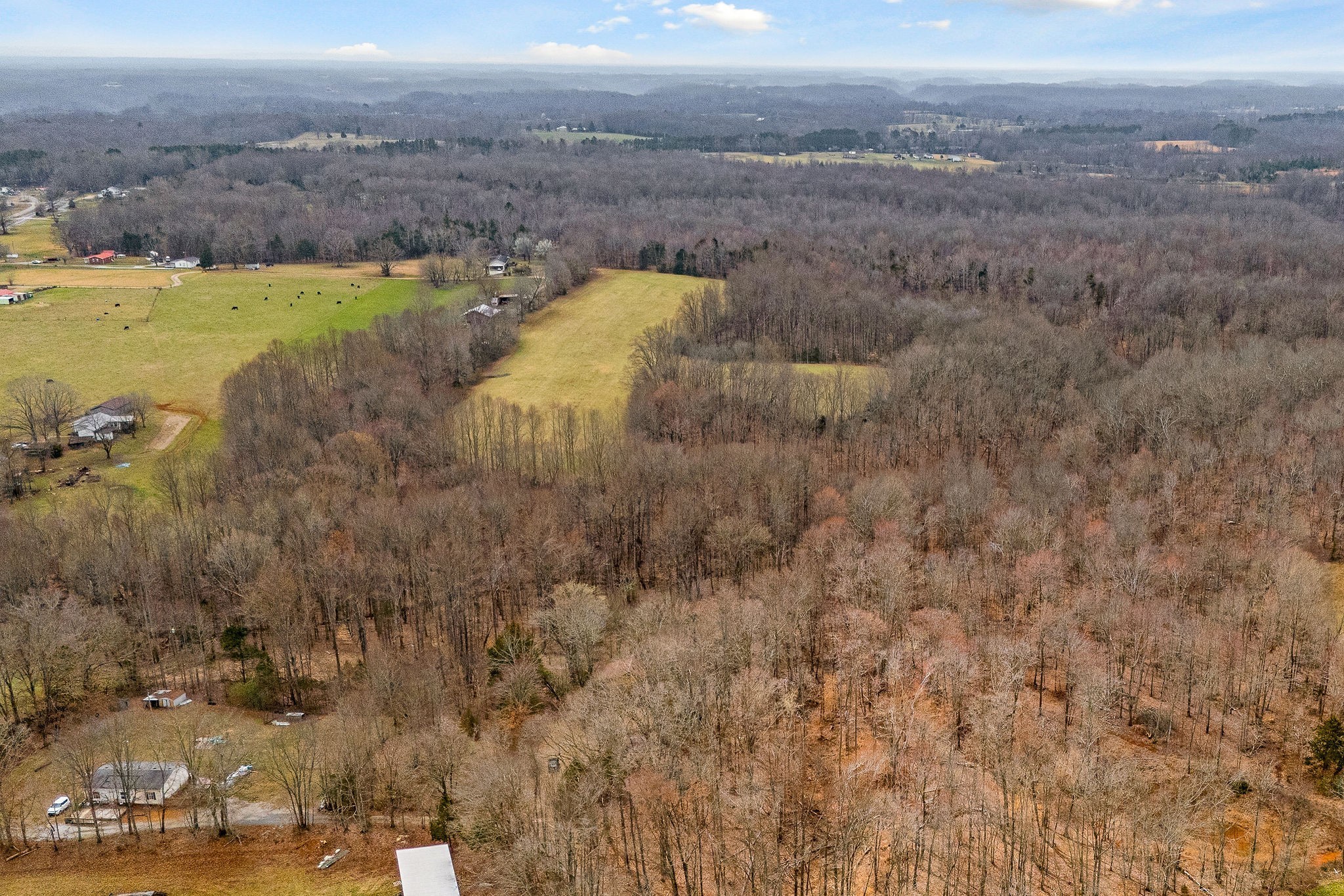 3944 Crawford Road Silver Point TN 38582