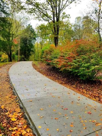 9056 Taylor Cemetery Road Lyles TN 37098