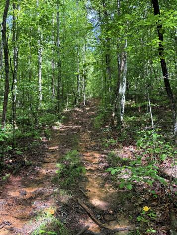 0 Spokelay Road Spencer TN 38585