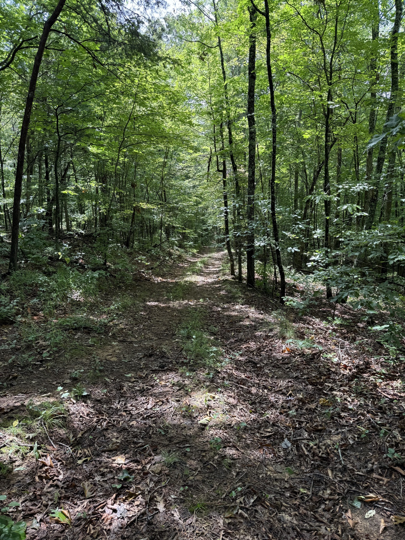 0 Spokelay Road Spencer TN 38585