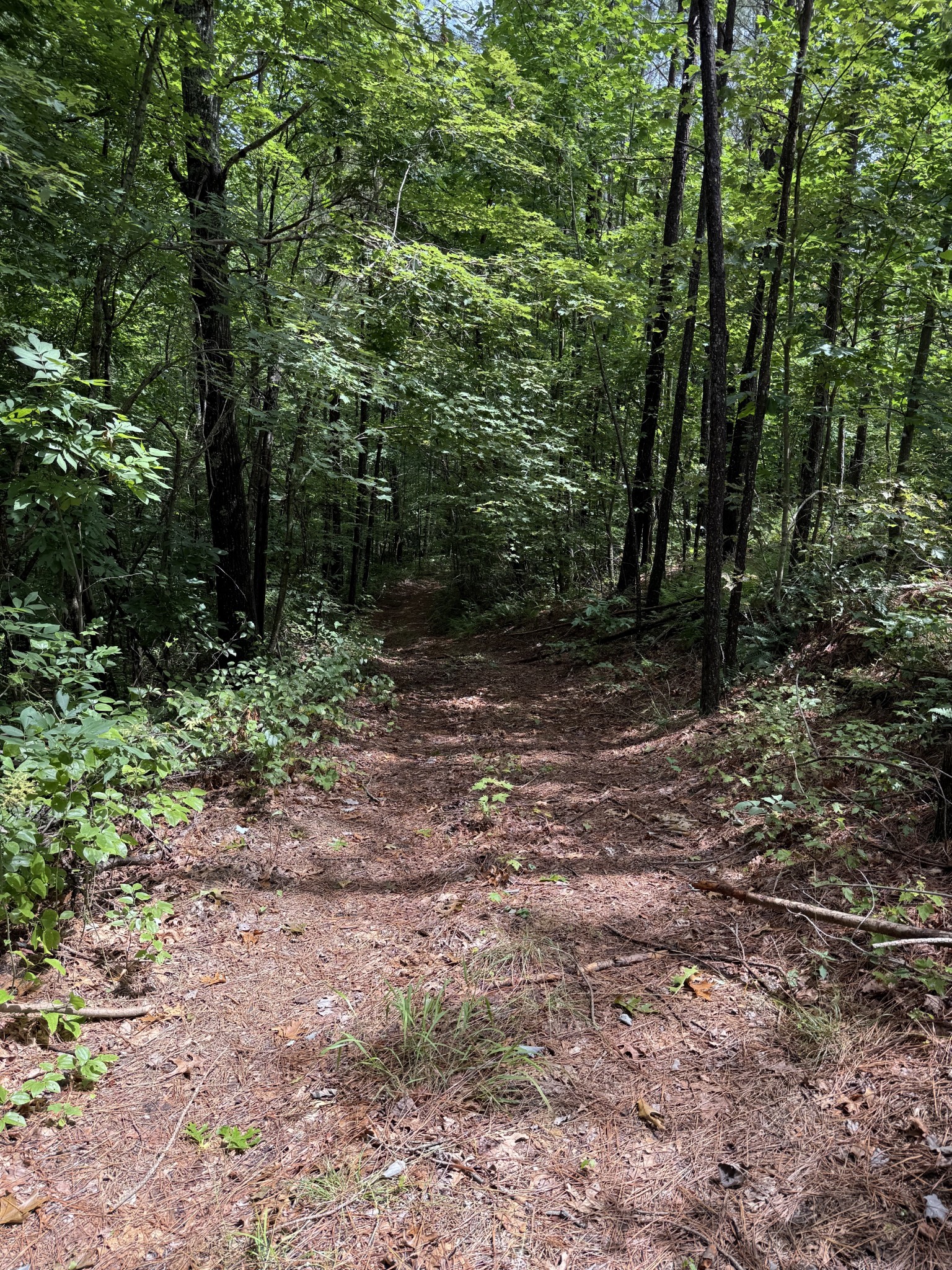 0 Spokelay Road Spencer TN 38585