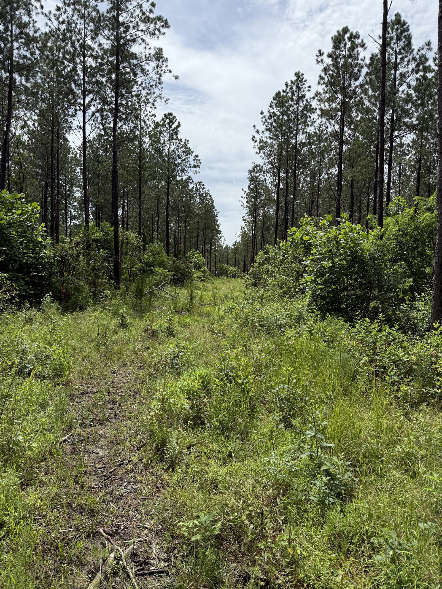 0 Spokelay Road Spencer TN 38585