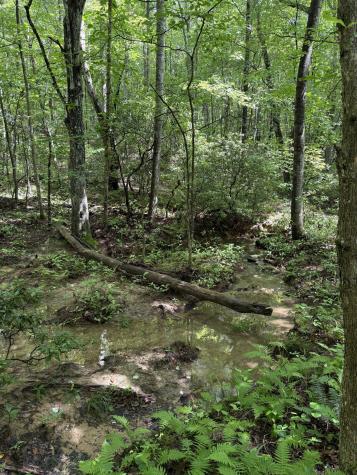 0 Spokelay Road Spencer TN 38585