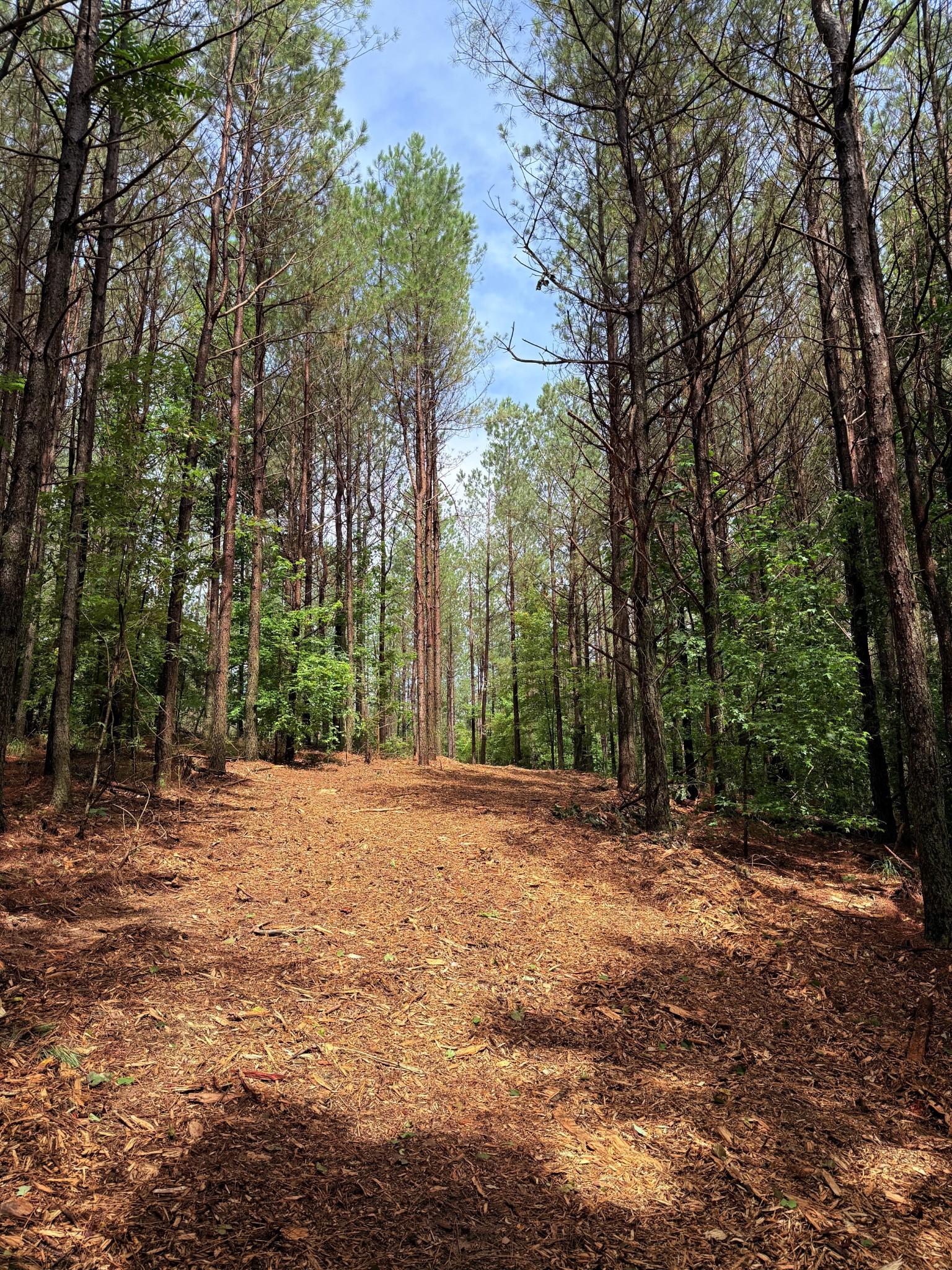 0 Spokelay Road Spencer TN 38585