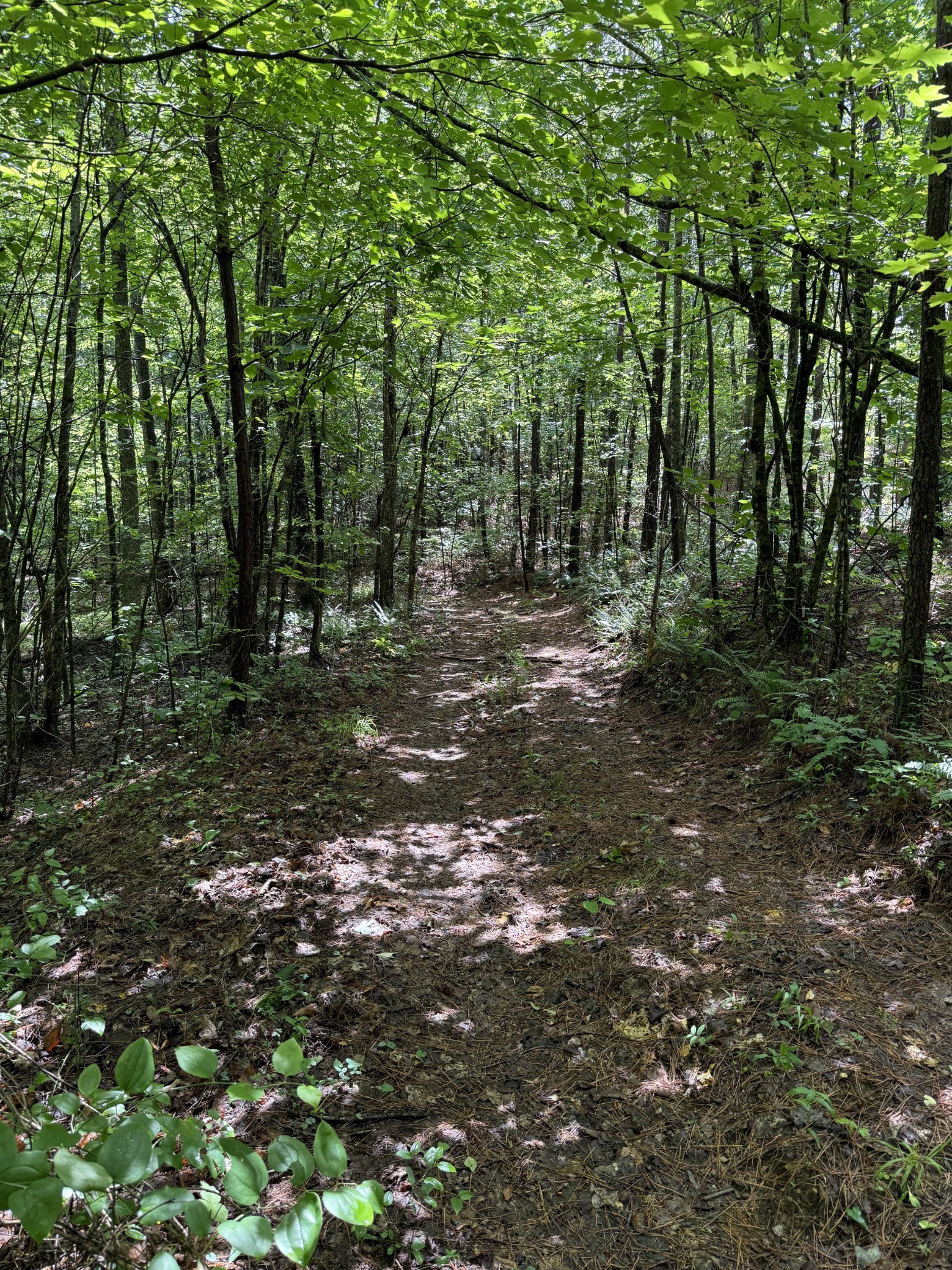 0 Spokelay Road Spencer TN 38585