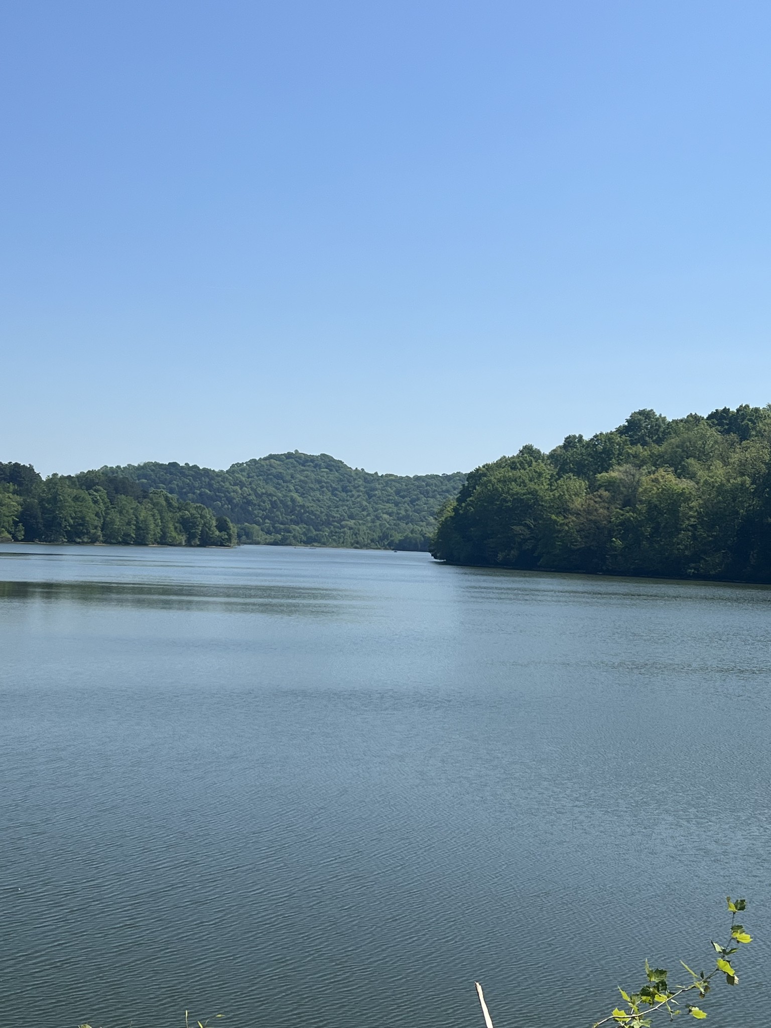 11 Preston Lane Elmwood TN 38560