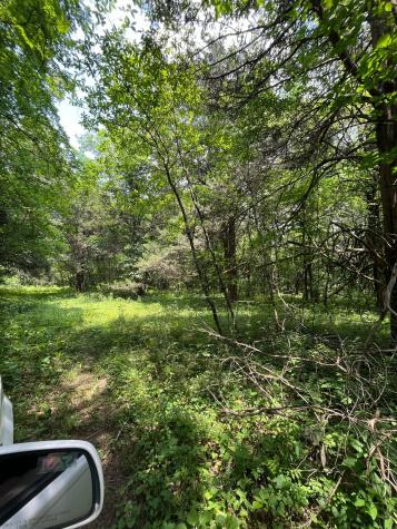 0 Brush Creek Brush Creek TN 38547