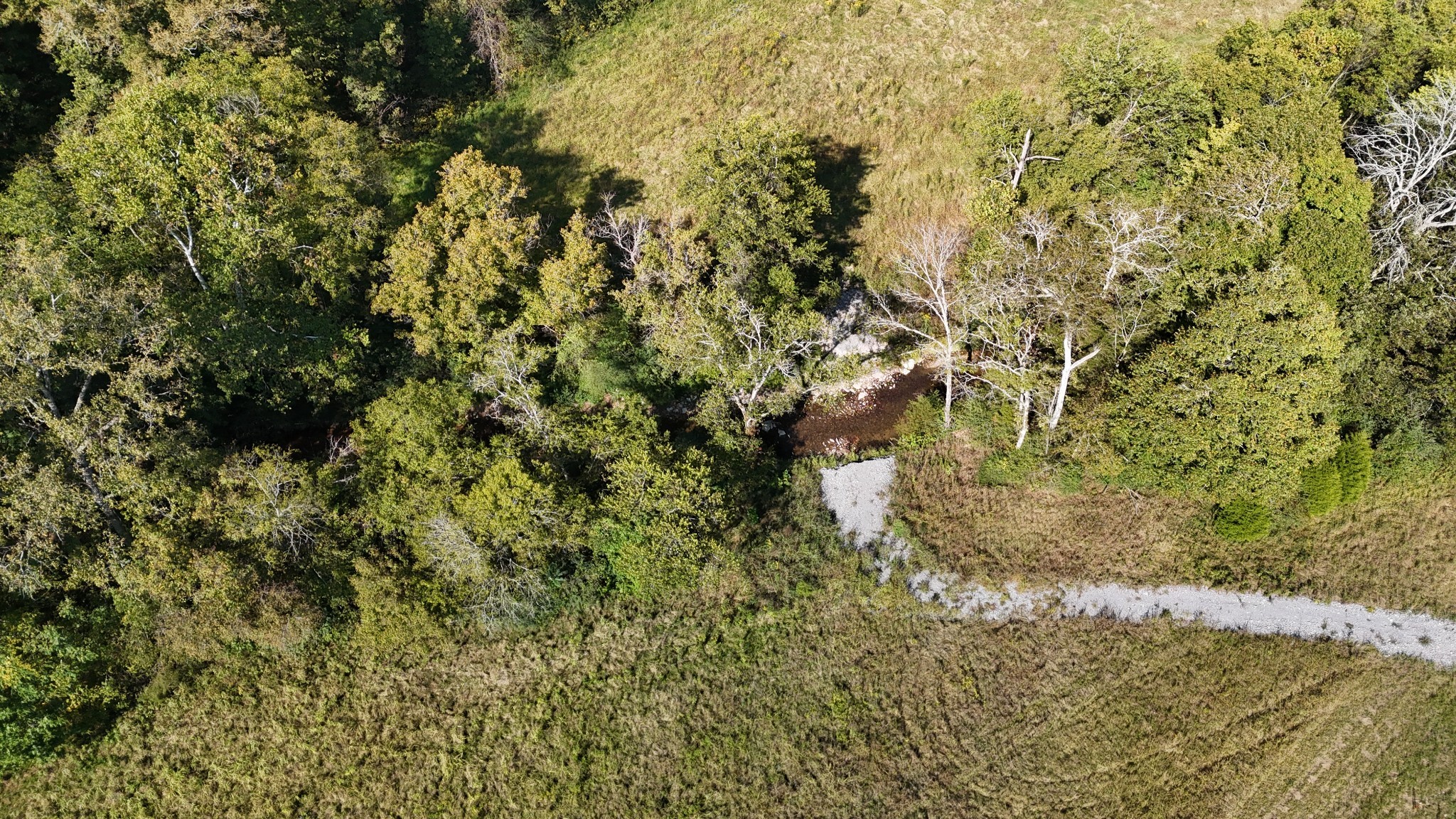 0 Hartsville Road Lafayette TN 37083