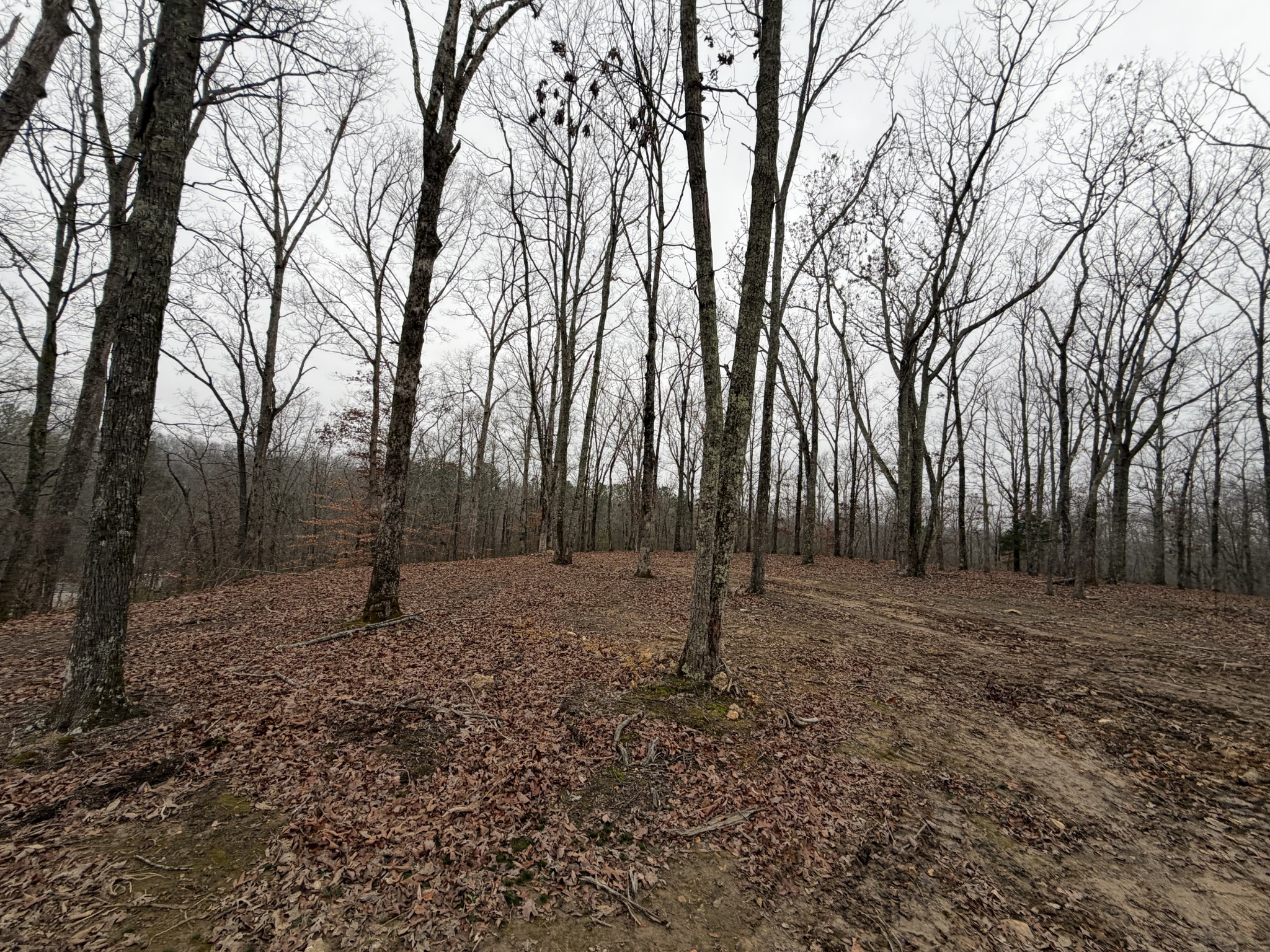 0 Highway 50 East Centerville TN 37033
