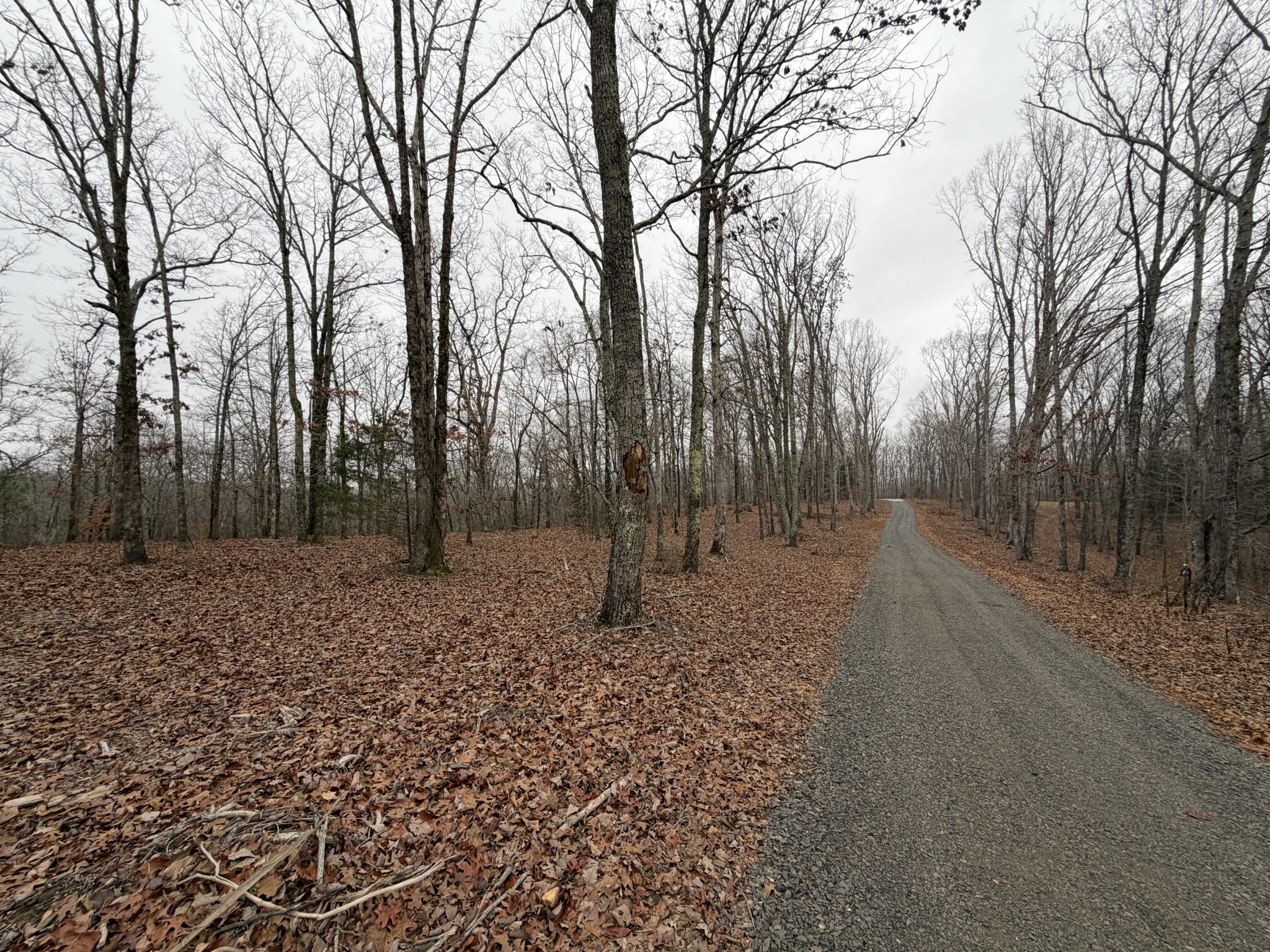 0 Highway 50 East Centerville TN 37033
