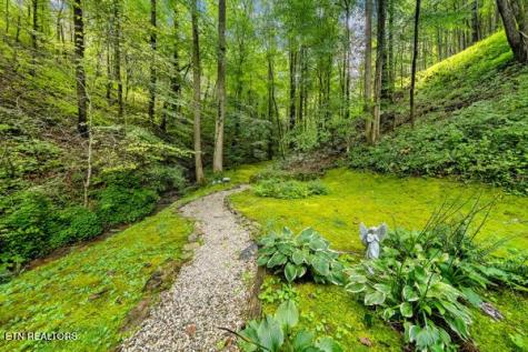 3127 Emerald Springs Loop Sevierville TN 37862