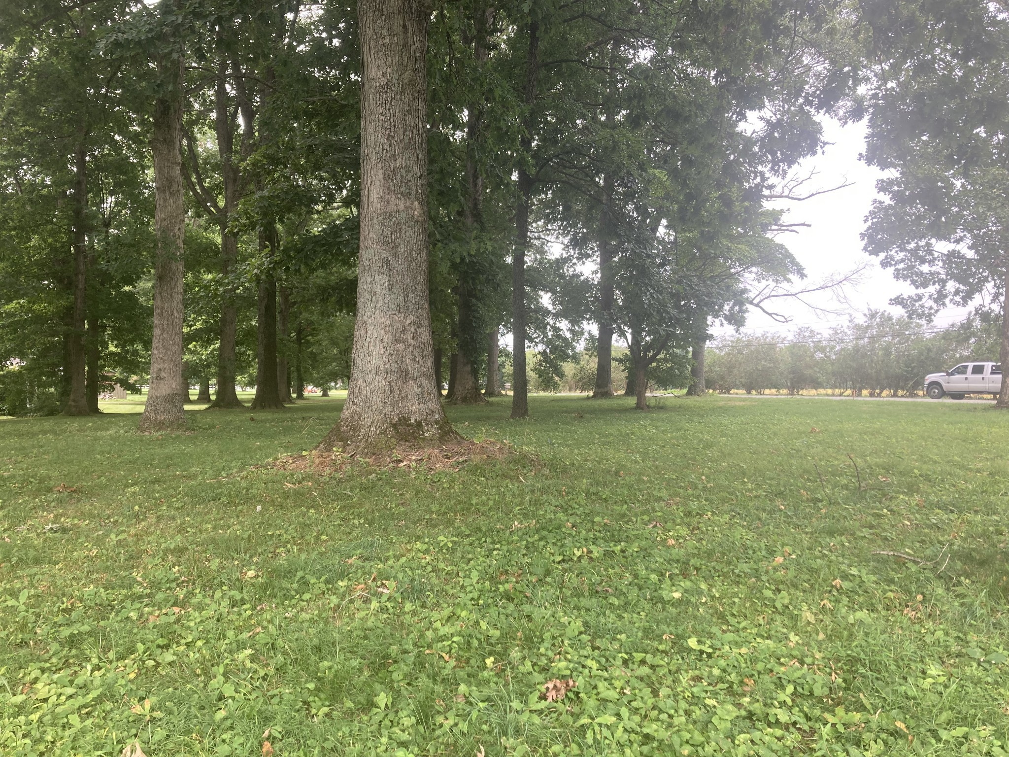0 Oak Hill Drive Portland TN 37148