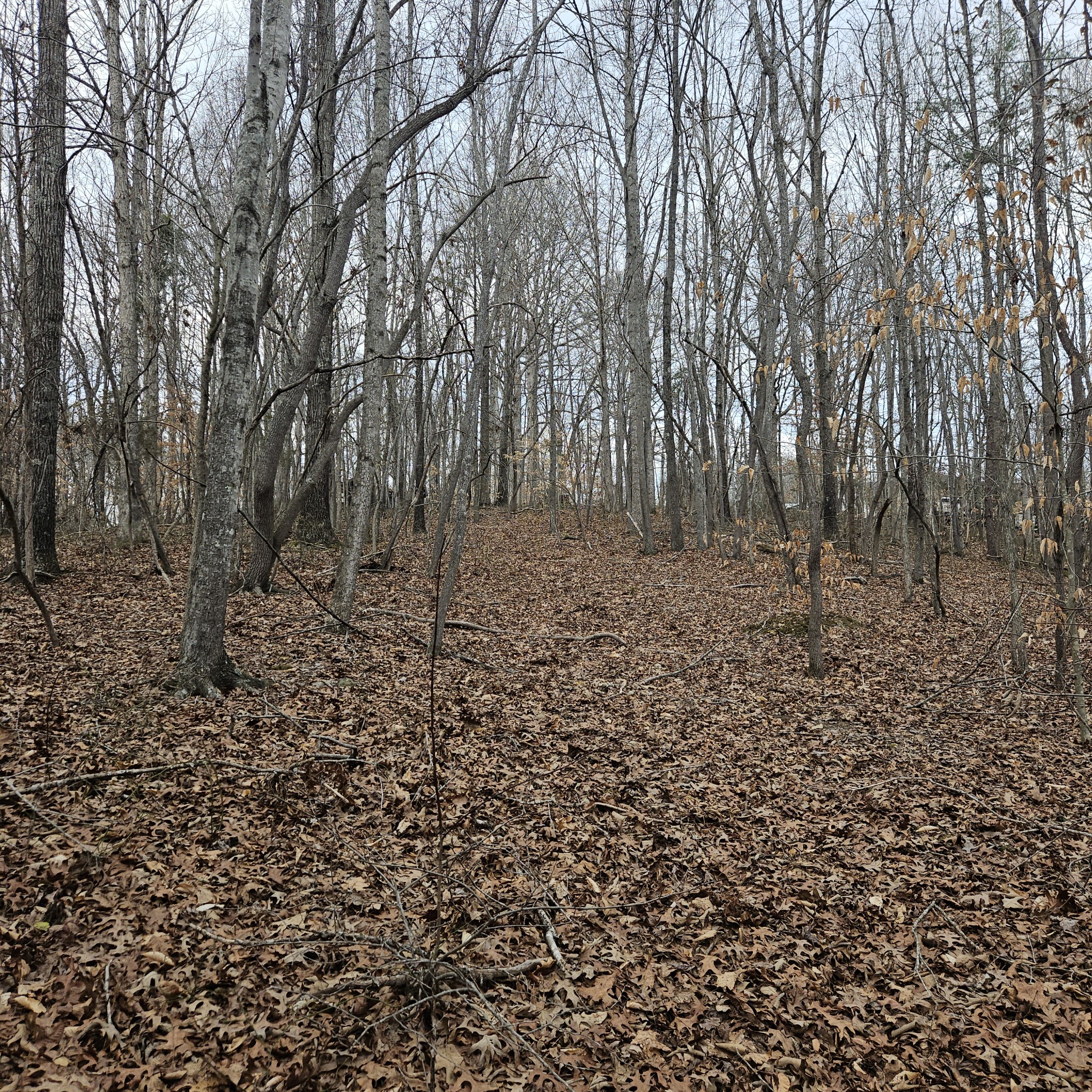 0 Jupiter Drive Ashland City TN 37015