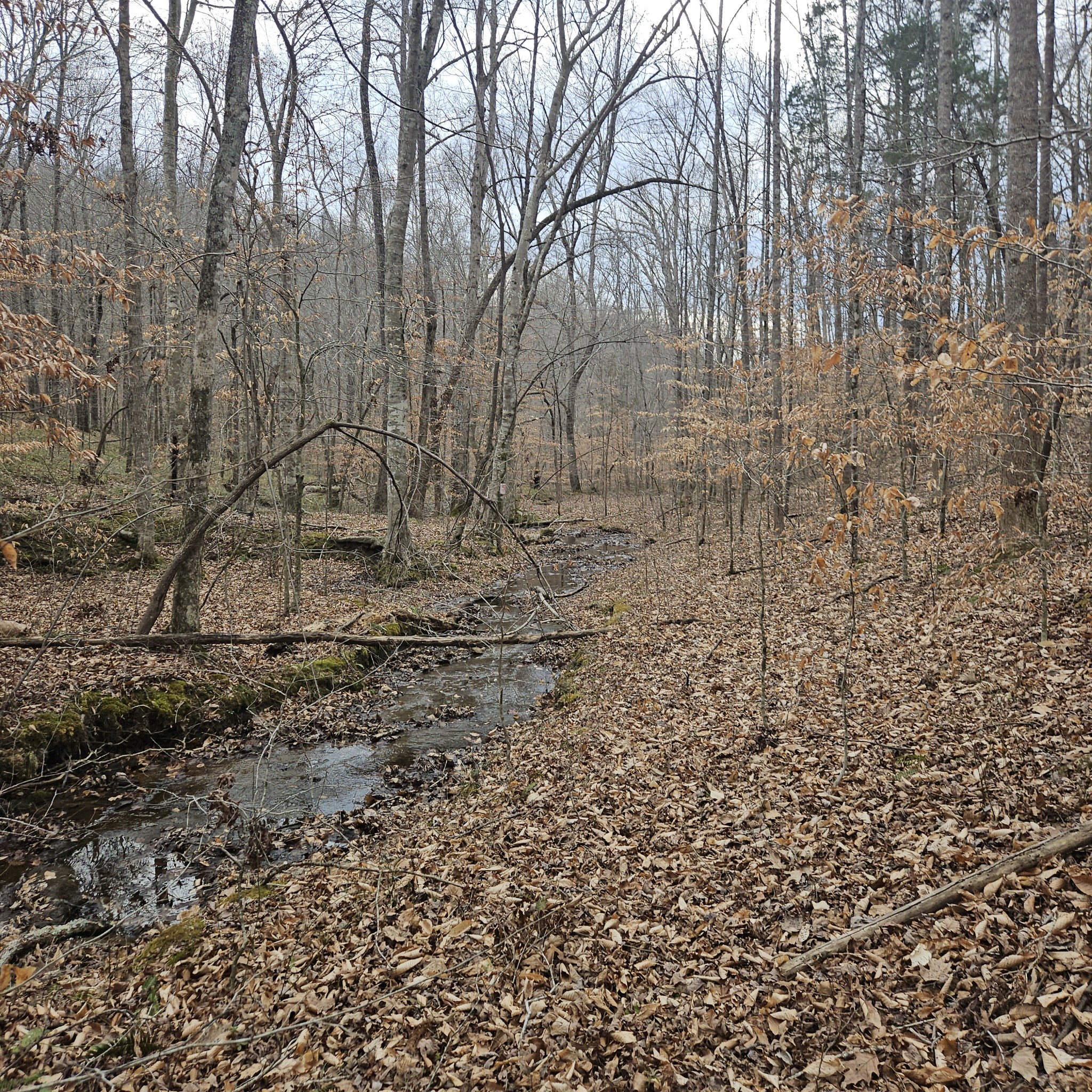 0 Jupiter Drive Ashland City TN 37015