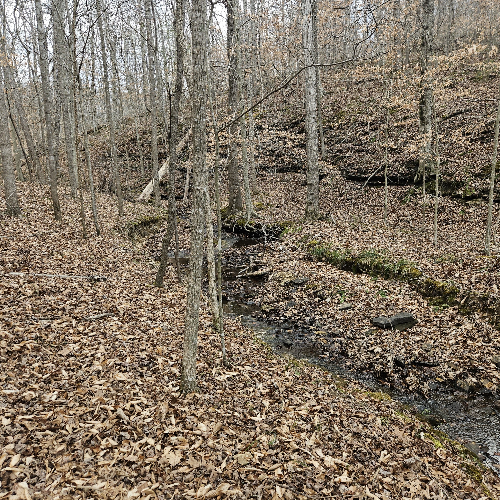 0 Jupiter Drive Ashland City TN 37015