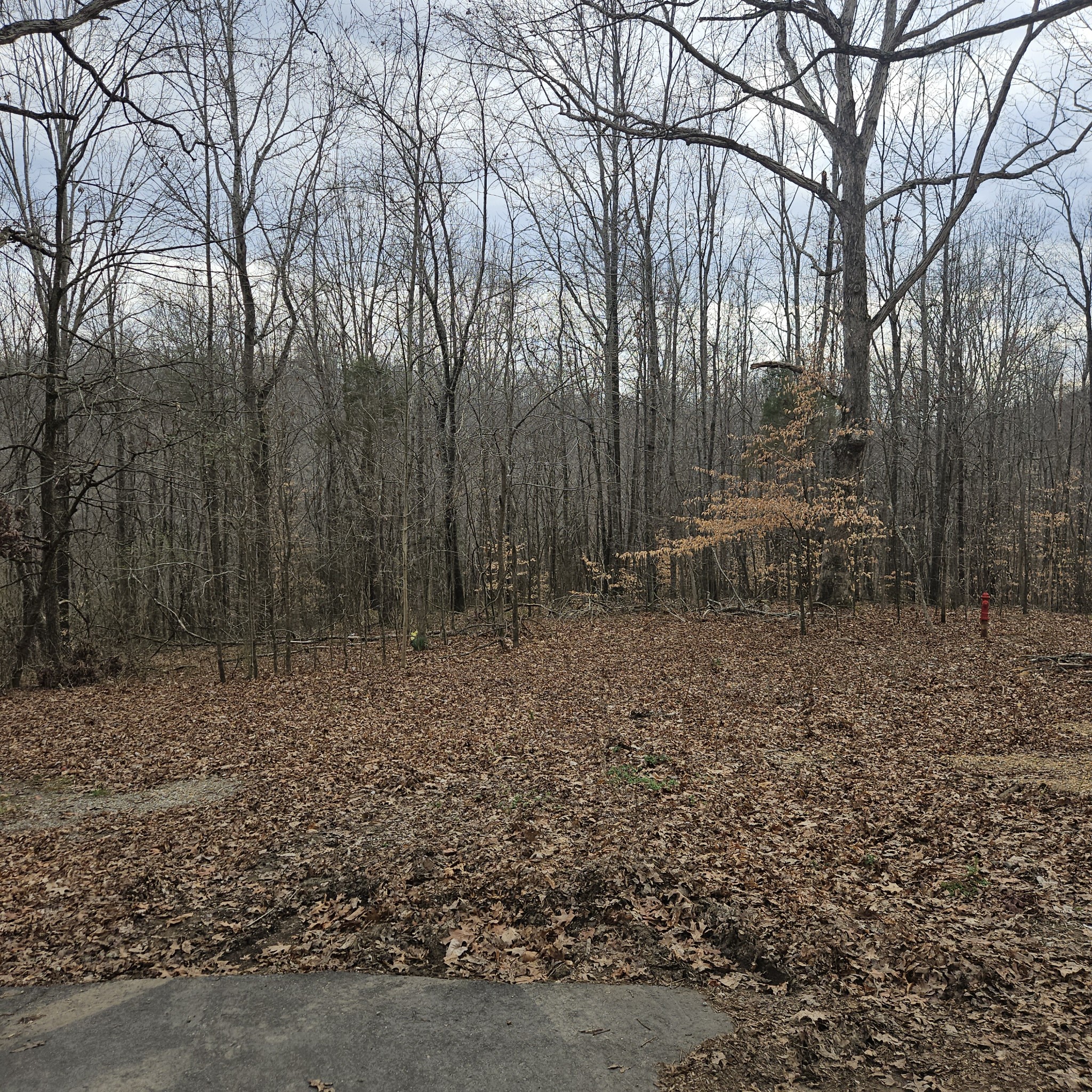 0 Jupiter Drive Ashland City TN 37015