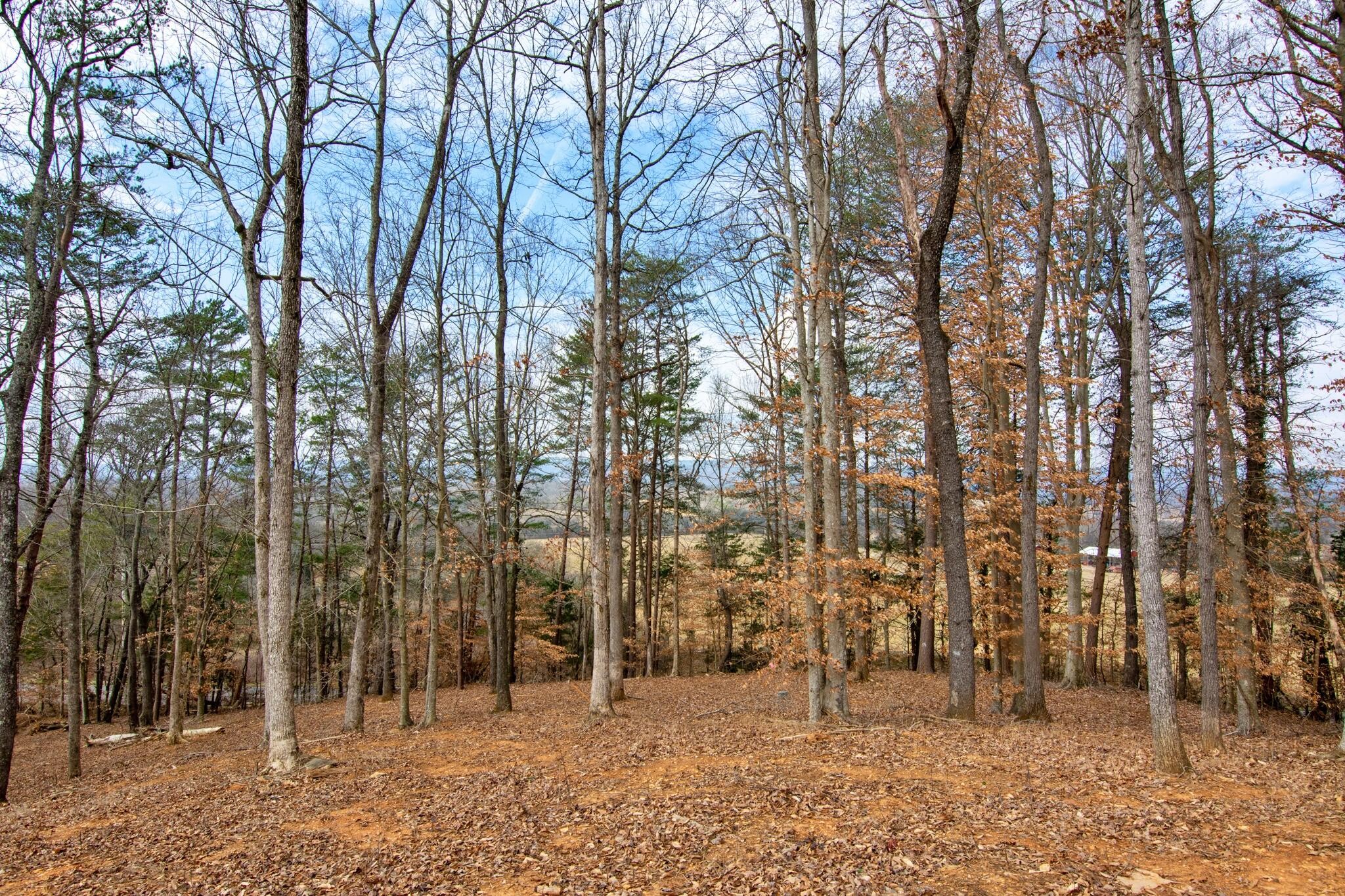 2604 Lower East Valley Road Dunlap TN 37327