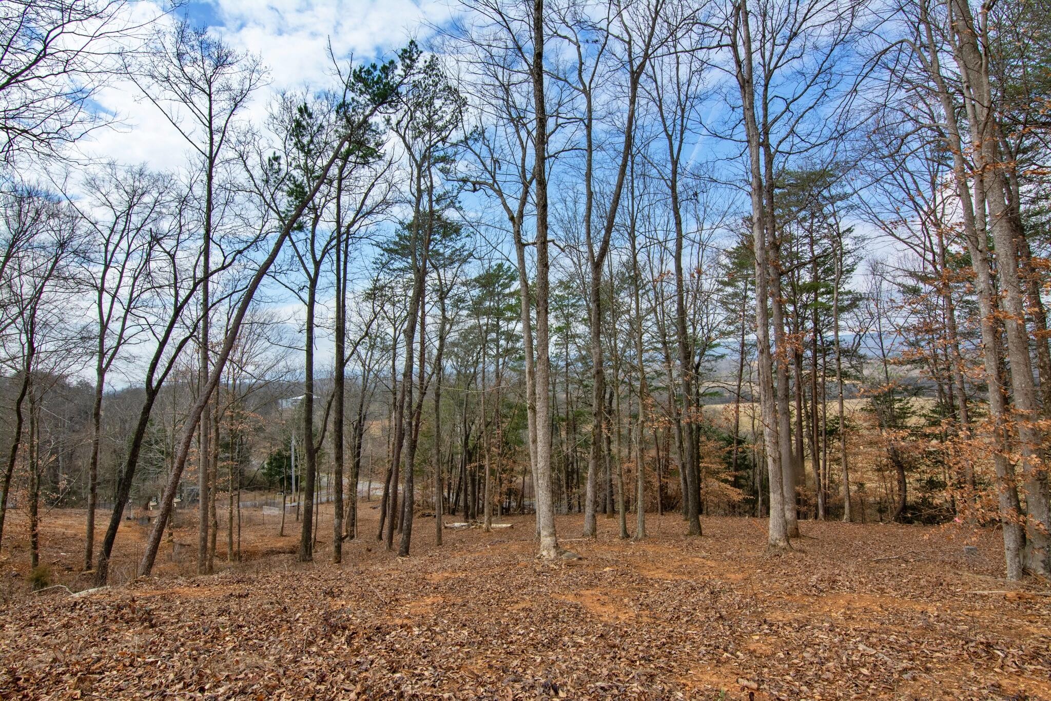2604 Lower East Valley Road Dunlap TN 37327