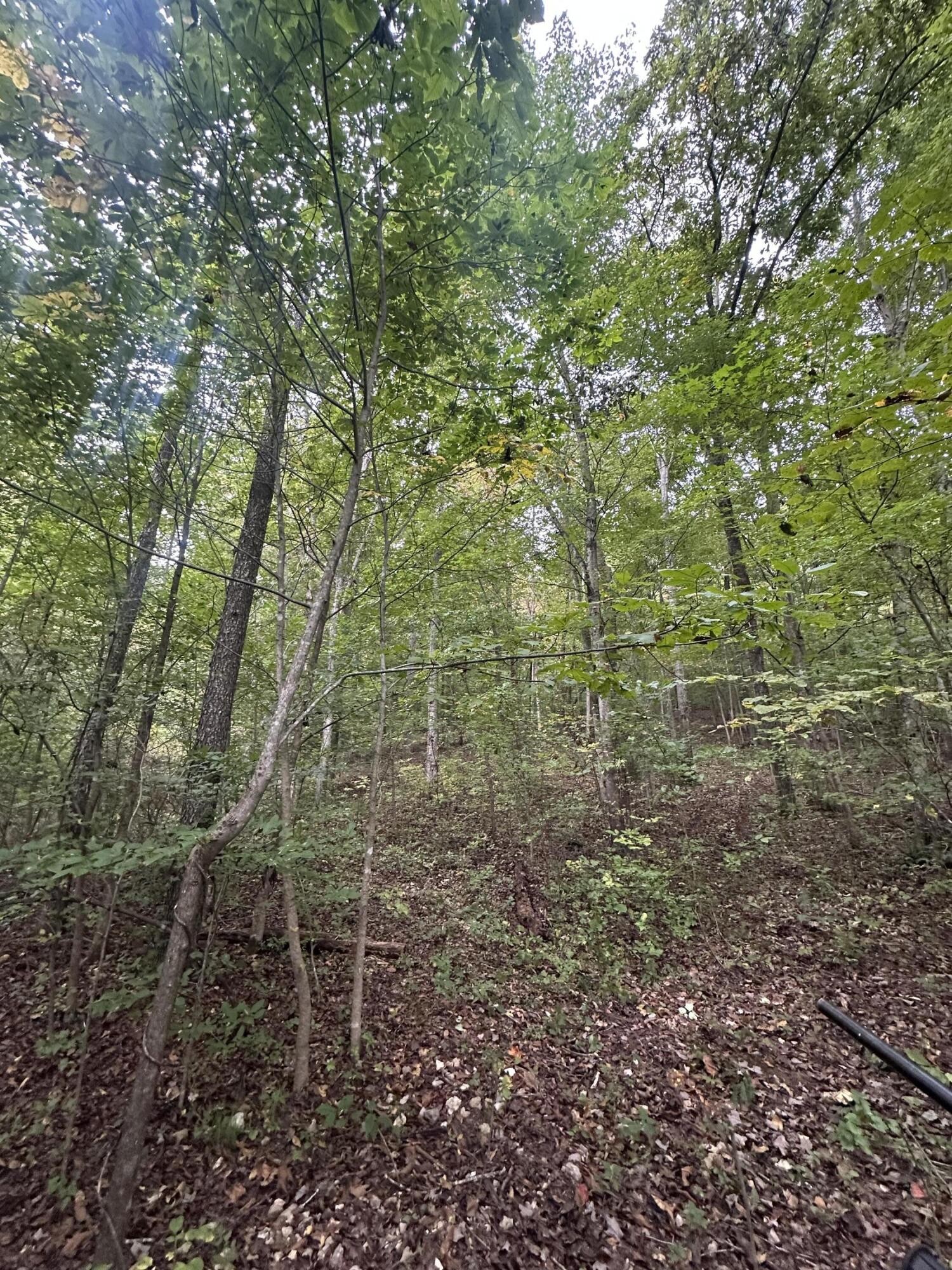 2604 Lower East Valley Road Dunlap TN 37327