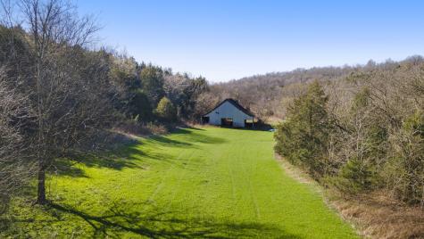 4250 Delina Road Cornersville TN 37047