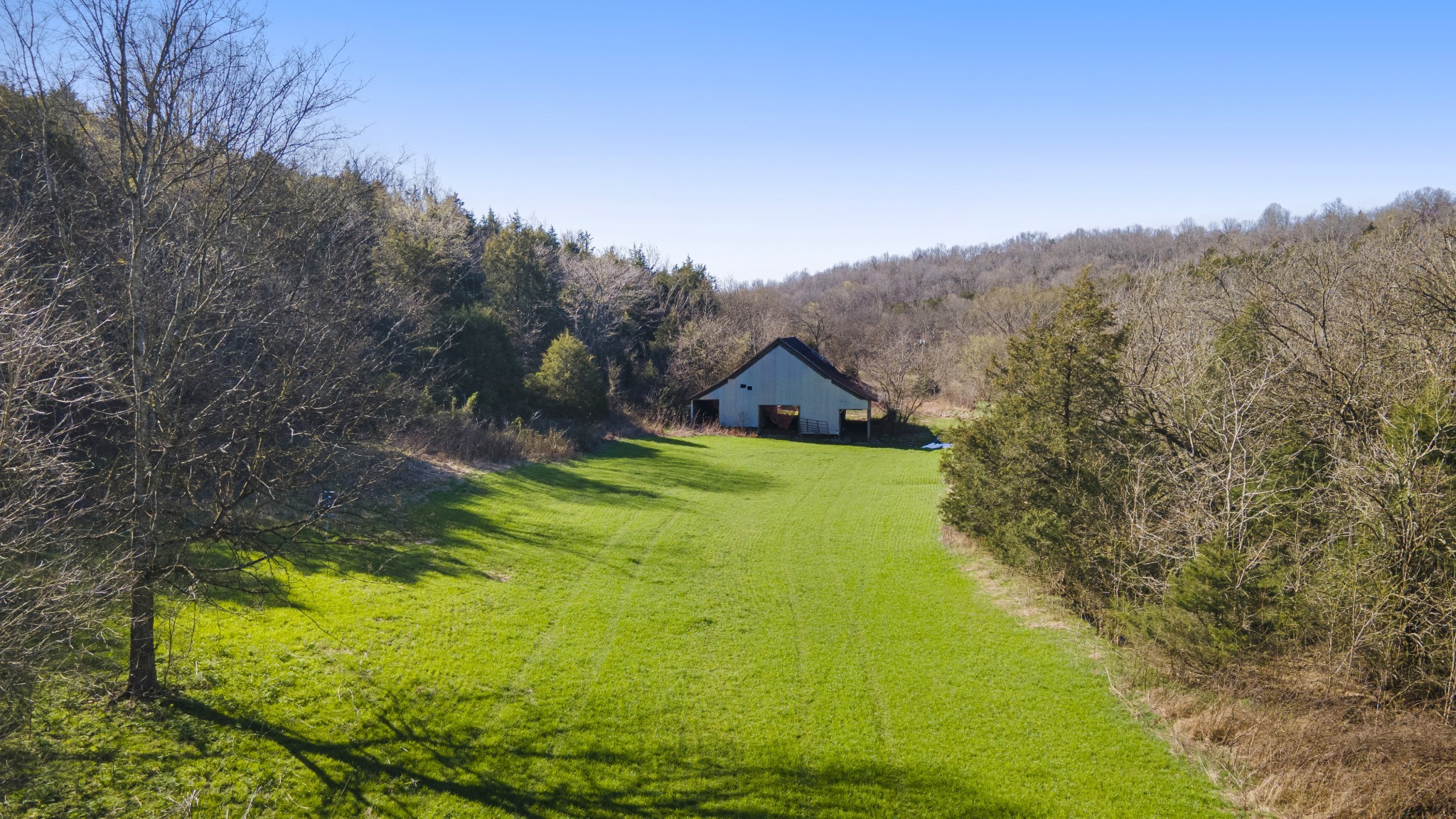 4250 Delina Road Cornersville TN 37047