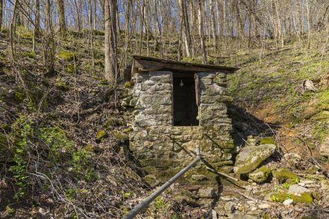 4250 Delina Road Cornersville TN 37047