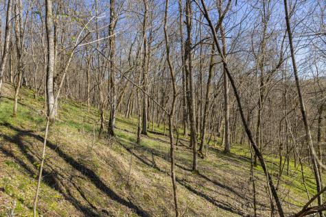 4250 Delina Road Cornersville TN 37047
