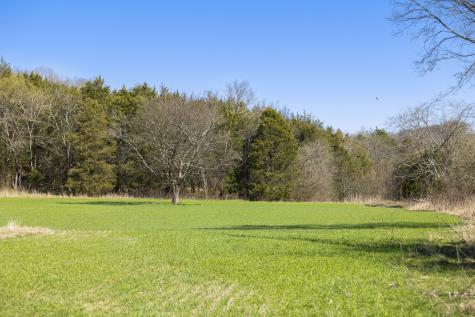 4250 Delina Road Cornersville TN 37047