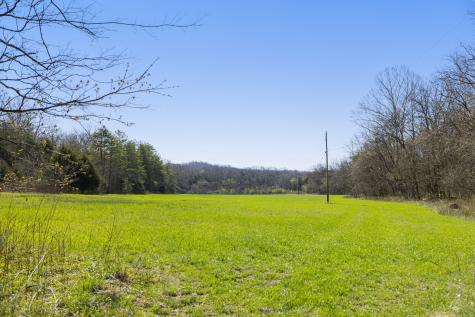 4250 Delina Road Cornersville TN 37047