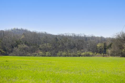 4250 Delina Road Cornersville TN 37047