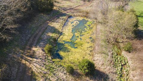 4250 Delina Road Cornersville TN 37047