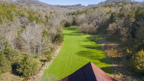 4250 Delina Road Cornersville TN 37047