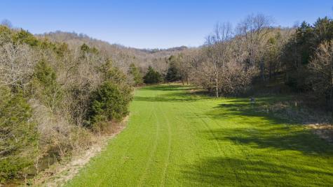 4250 Delina Road Cornersville TN 37047