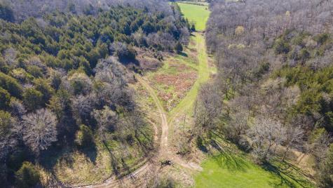 4250 Delina Road Cornersville TN 37047