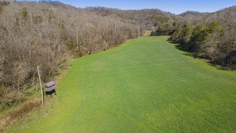 4250 Delina Road Cornersville TN 37047