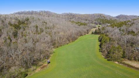 4250 Delina Road Cornersville TN 37047