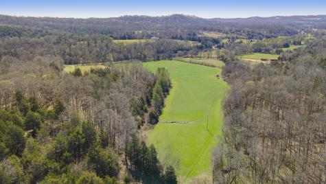 4250 Delina Road Cornersville TN 37047