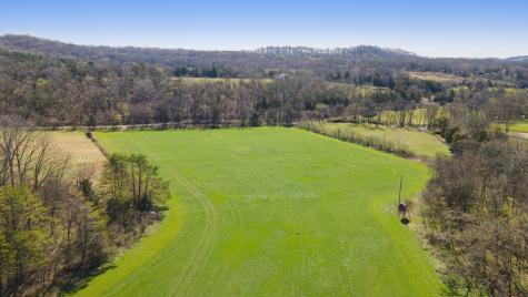 4250 Delina Road Cornersville TN 37047