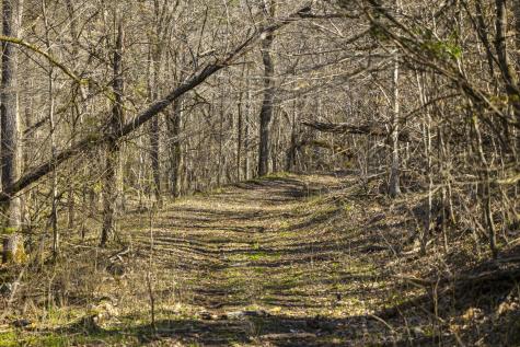 4250 Delina Road Cornersville TN 37047