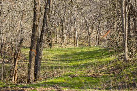 4250 Delina Road Cornersville TN 37047