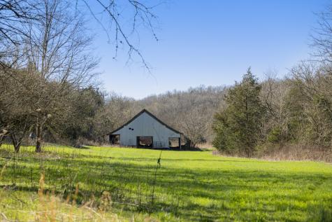4250 Delina Road Cornersville TN 37047