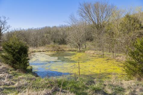 4250 Delina Road Cornersville TN 37047