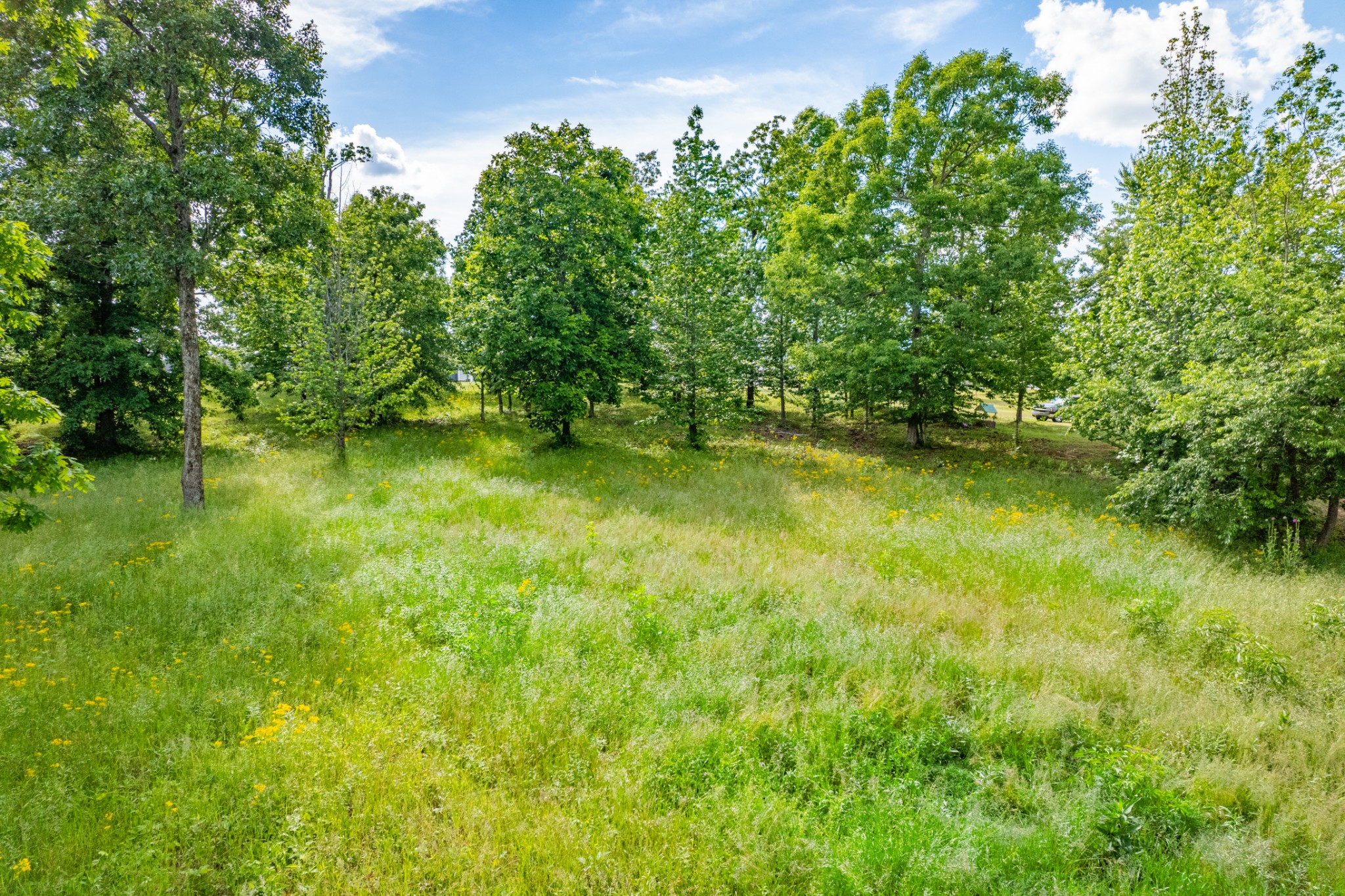 0 Wyshema Court Mount Pleasant TN 38474