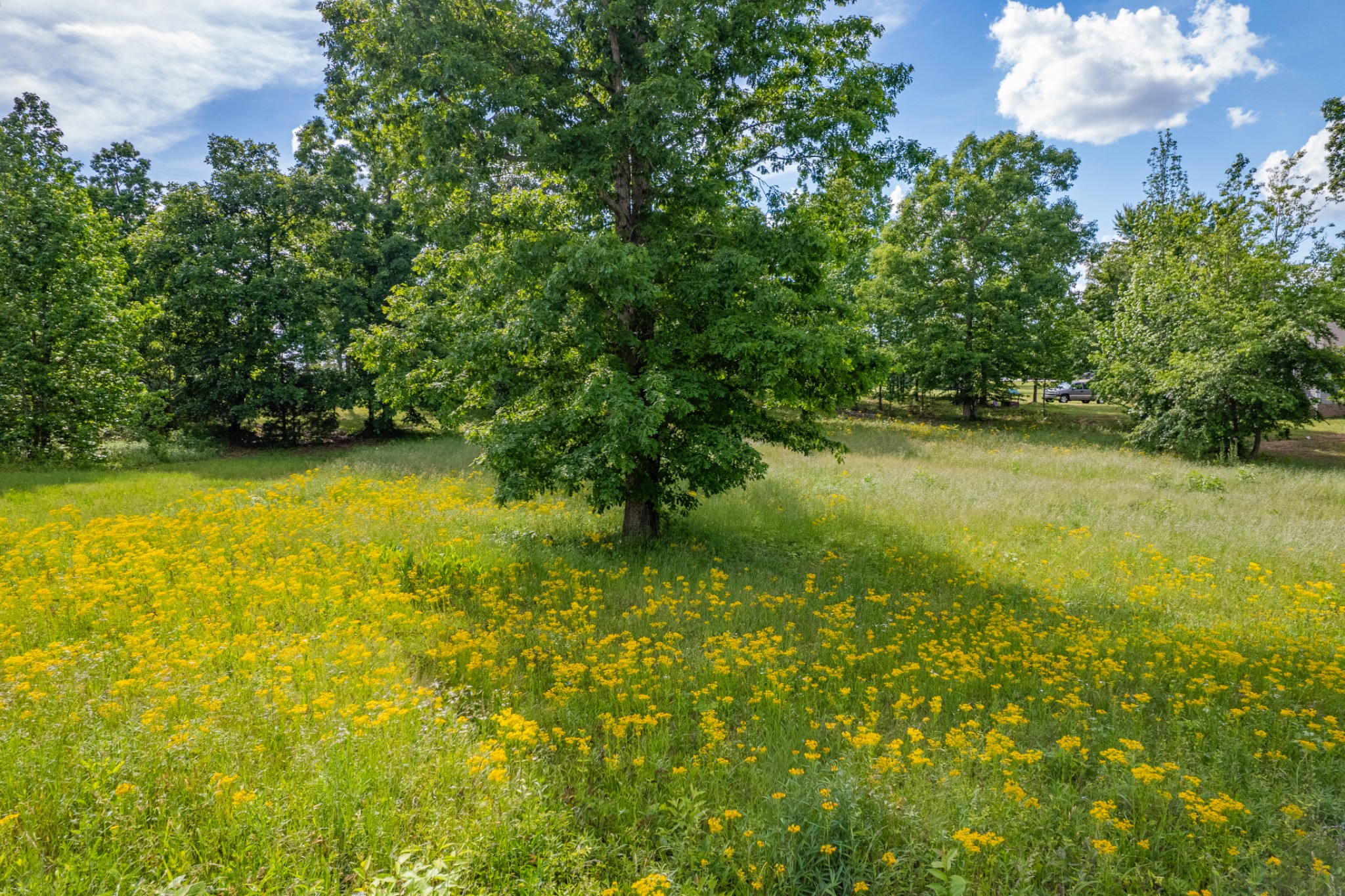 0 Wyshema Court Mount Pleasant TN 38474